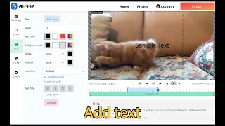 Turn s into Animated GIFs in SECONDS