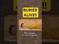 Download Lagu What To ACTUALLY Do If You Are Buried Alive