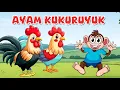Download Lagu Kukuruyuk | Ayam Kukuruyuk | Lagu Anak Anak | Lagu Anak Anak Indonesia