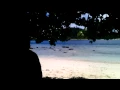 Download Lagu Damai - Nowseeheart (Fata Margandi Cover)