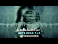 Celldweller - Switchback (2001)