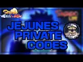 150 CODES NEW NEWEST JEJUNES PRIVATE SERVER CODE