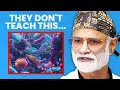 Absolute Best Way to Fix Your Microbiome