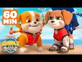 Download Lagu Rubble's Builder Cove Summer Rescues! w/ Wheeler \u0026 Chase | 1 Hour | Rubble \u0026 Crew
