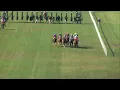 Tampa Bay Downs Live Stream