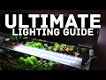 Aquarium Lighting 101 Choosing the Right Light for Your Planted Tank