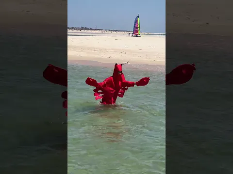 Tenho um segredo 🧜🏼‍♀️