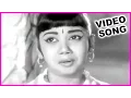 Download Lagu Kodi Oka Konalo Punju Oka Konalo Super Hit Video Song - Letha Manasulu - Haranath, Jamuna