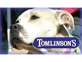 Tomlinson s Feed - Naturally Smarter