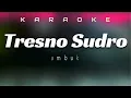 TRESNO SUDRO Karaoke