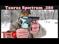Taurus Spectrum 380 ACP Budget Series - TheFirearmGuy