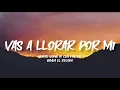 Vas A Llorar Por Mi - Banda El Recodo (Letra/English Lyrics)