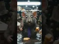 Download Lagu rat ralf who is hungry#Ralf #NYCVlog #ratvlogger #animatedstories #bigfoot #bigfootvlog #Veo3