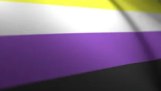 Waving Nonbinary Pride Flag Background - FREE Stock Footage