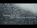 Skylar Grey - Words Lyrics