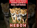 Download Lagu Malam Jumat Bertemu Wanita Harimau