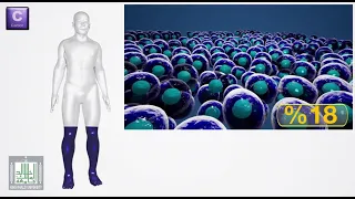 عناصر الحياة 