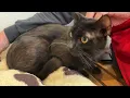 Salem