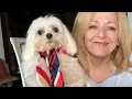 RIIQIICHY Satin Hair Scarf Review - How I Will Use it