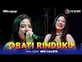 Download Lagu INTAN AFIFAH OBAT RINDUKU - NEW CALLISTA Live ngerame Sidoarjo 2024