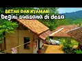 Download Lagu TONTON VIDEO INI JIKA ANDA INGIN MERASA DAMAI DAN TENANG‼️ini desaku yang masih asri