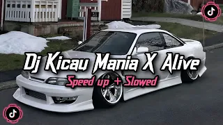 dj melody habibi x kicau mania x alive x body back style kondang candu by tombel fvnky rmx