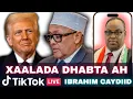 Lagu Ibraahim Caydiid: Maraykanka Oo Ka Niyad Jabay Somaliland – Xukuumadda Cirro Oo Aan Diyaar Ahayn !