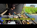 Download Lagu NIAT MANCING IKAN SEMUA PEMANCING KENA SASARAN MUKA JADI BERANTAKAN|| MANCING MANIA