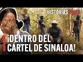 Dentro del imperio de la droga mexicano el cartel de Sinaloa Historias Vivas Documental