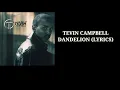 Download Lagu TEVIN CAMPBELL - DANDELION (LYRICS)