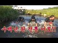 Download Lagu This is the best in freshwater! Let's anesthetize and catch it!! / Korean traditional freshwater ...