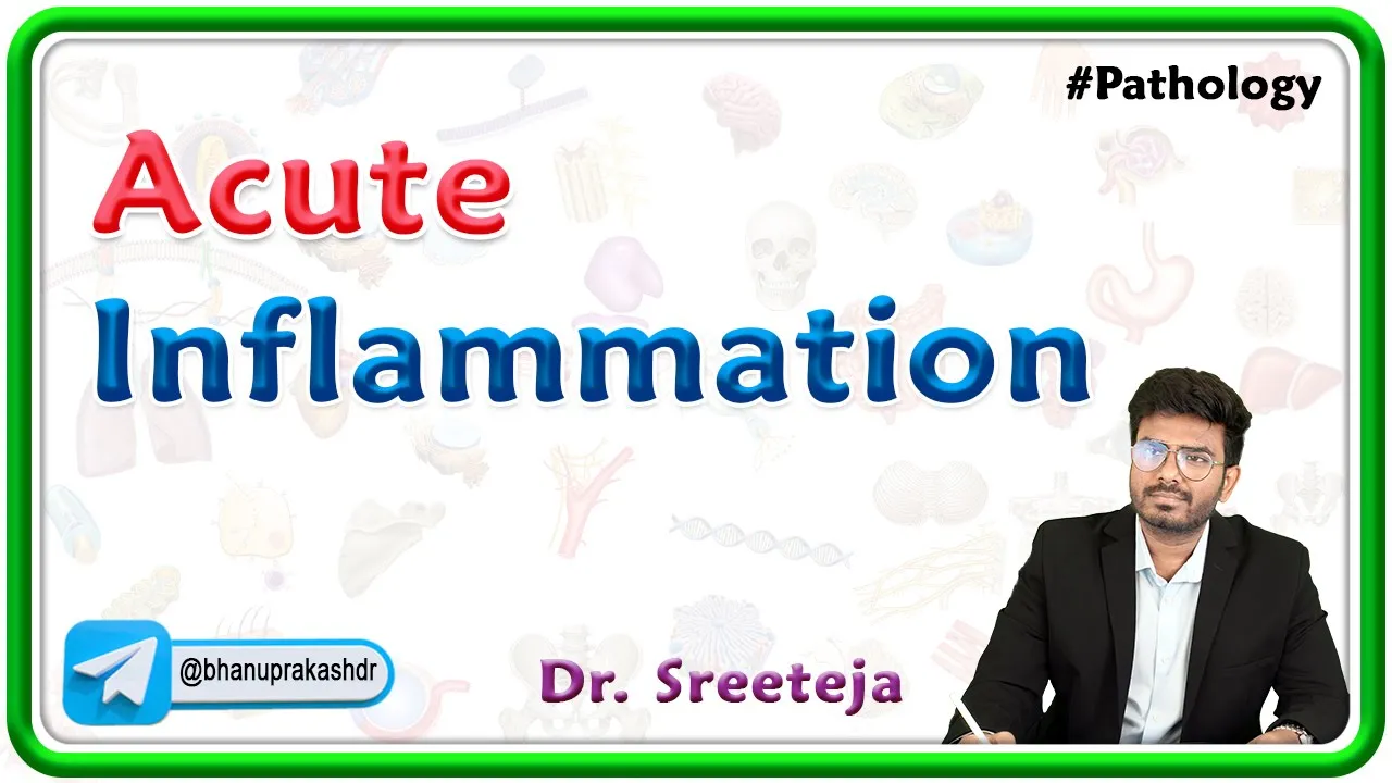 1 : Acute Inflammation : Cellular changes and Vascular changer : USMLE Step 1 Pathology