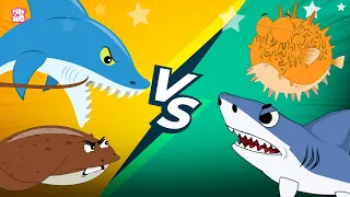 Deadliest Fish | Most Dangerous Ocean Animals | Stonefish, Piranha, Shark, Stingrays and more