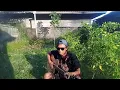 Download Lagu \