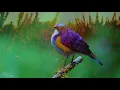 Beautiful Relaxing Music, Peaceful Calm Soothing Instrumental Music, "Natures Dreams" by Tim Janis