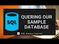 Using Select Queries to Fetch Data Part 13 - SQL Tutorial for Beginners