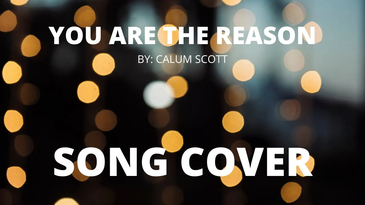 You Are The Reason - Calum Scott (Baritone Cover) - MattWonderMusic