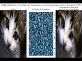 Image Interpolation Delaunay Triangulation Barycentric Coordinates Reconstruction python