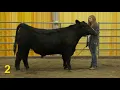 2018 National FFA General Livestock Eval CDE Market Steers Class 1