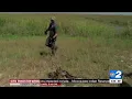 Registration begins for 2024 Florida Python Challenge in the Everglades