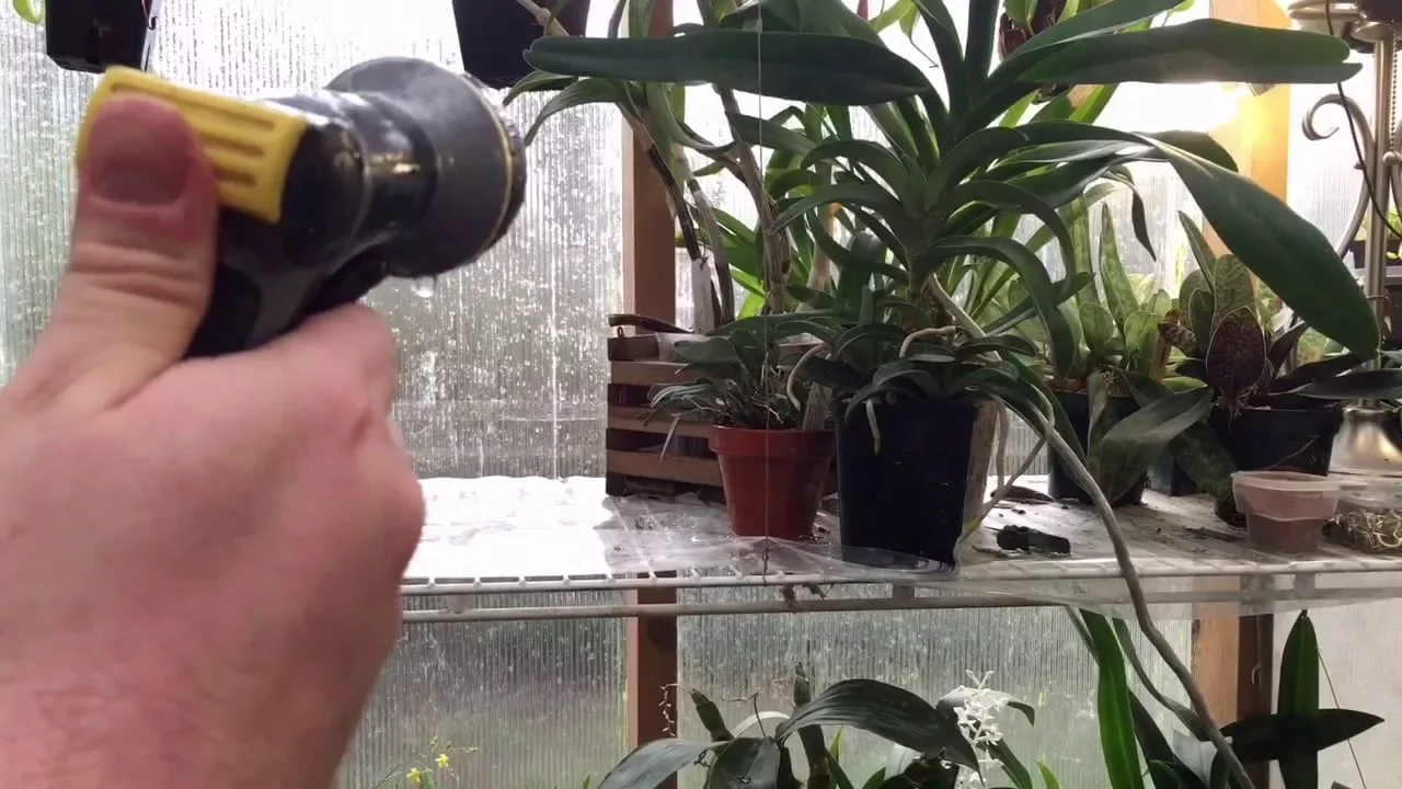 WINTER WATERING IN THE GREENHOUSE: TIPS TO WATER ORCHIDS AND CARNIVOROUS PLANTS IN COOL WEATHER