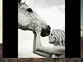 Southern Girl By Tim McGraw
