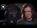 Download Lagu Werewolf Shot Dead by Police | An American Werewolf in London