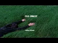 Download Lagu Sza-SNOZEE