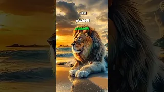 لا انقص بغياب احد اقتباسات اكسبلور كلام من القلب دويتو أقوال أقوال وحكم كلام من ذهب 