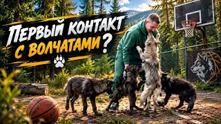 Сборник РОССИИ ПО баскетболу приехал в Парк Волков 😱‼️