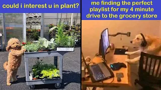 Uplifting Memes And Posts For That Daily Dose Of Positivity NEW PICS Happy And Fun