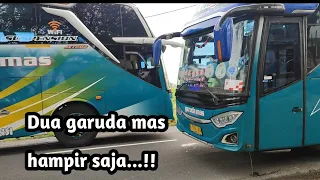 wah ada apa ini hunting bus banyak garuda mas jalur tengah semakin padat