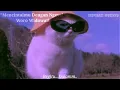 Download Lagu Mencintaimu Dengan Ngeyel-Woro Widiowati (lirik lagu)