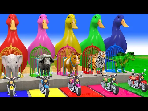 Video Thumbnail: Long Slide Game with Cow Elephant Gorilla Hippopotamus Tiger 3d Animal Game Funny 3d Animals